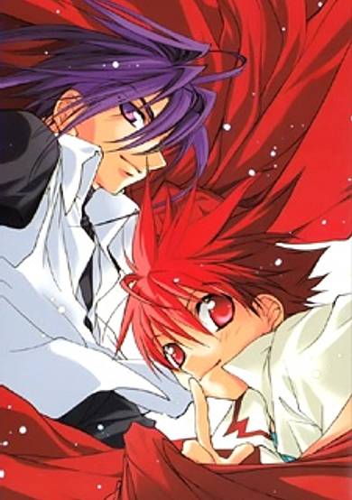 Copertina di D.N. Angel