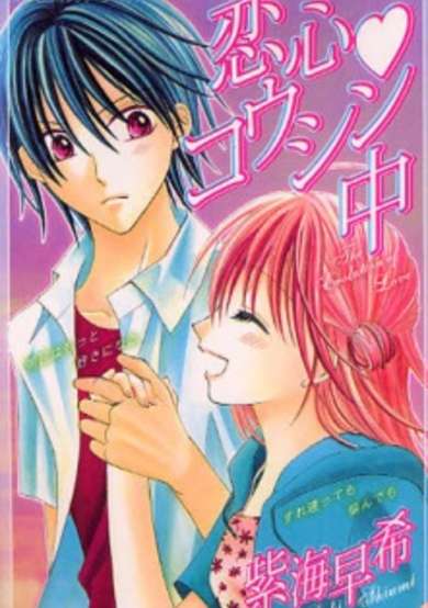 Copertina di The Evolution of Love