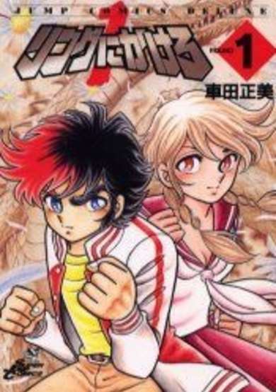 Copertina di Put it all in the Ring