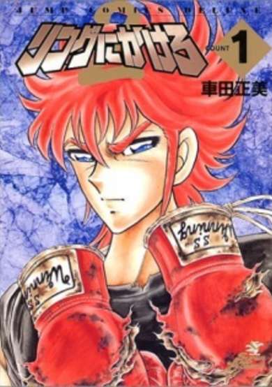 Copertina di Put it all in the Ring 2