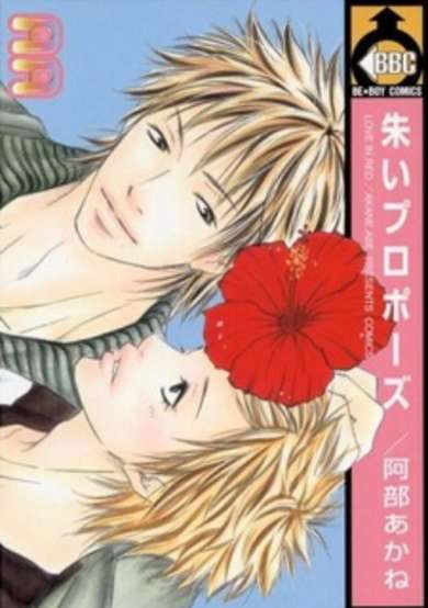 Copertina di Akai Propose