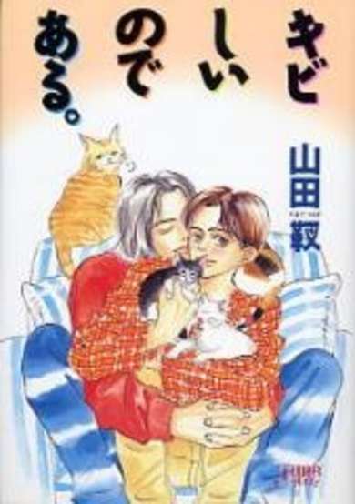 Copertina di Kibishii no de Aru