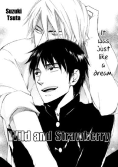 Copertina di Wild to Strawberry