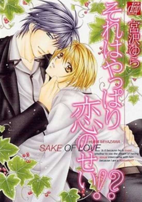 Copertina di That is Surely Because of Love!?