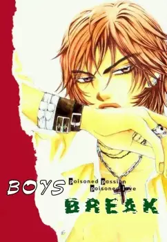Copertina di Boys Break