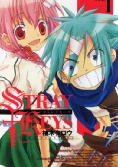 Copertina di Stray Keys