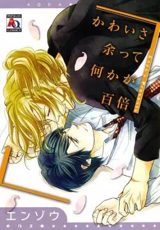Copertina di Kawaisa Amatte Nanika ga Hyakubai