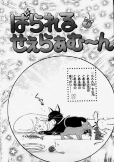 Copertina di Parallel Sailor Moon