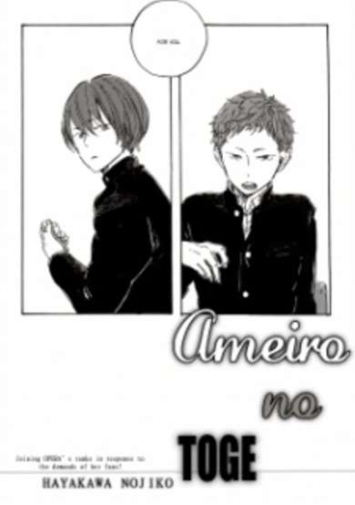 Copertina di Ameiro no Toge
