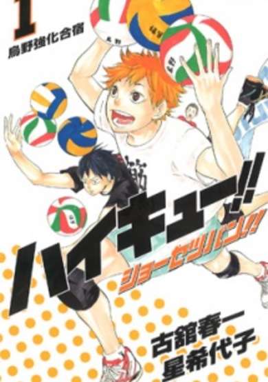 Copertina di Haikyuu!! Shousetsu-ban!!