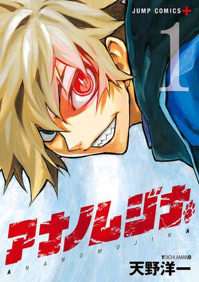 Copertina di Ana no Mujina