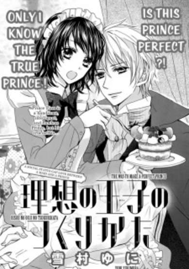 Copertina di Risou no Ouji-sama no Tsukurikata