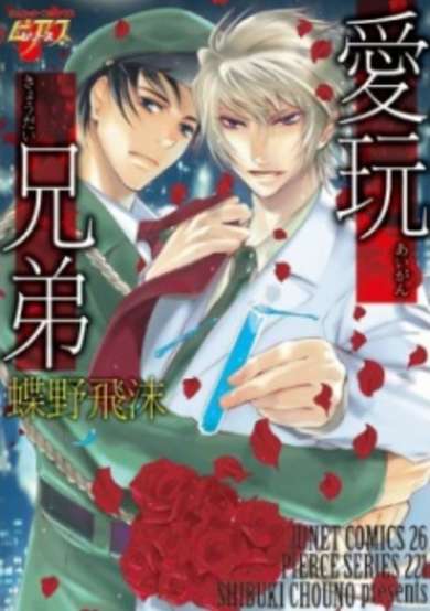 Copertina di Aigan Kyoudai