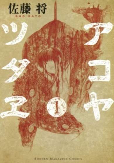 Copertina di The Chronicle of Akoya