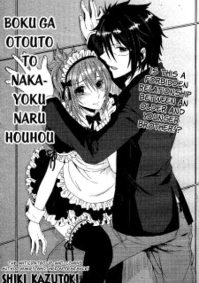 Copertina di Boku ga Otouto to Nakayoku Naru Houhou