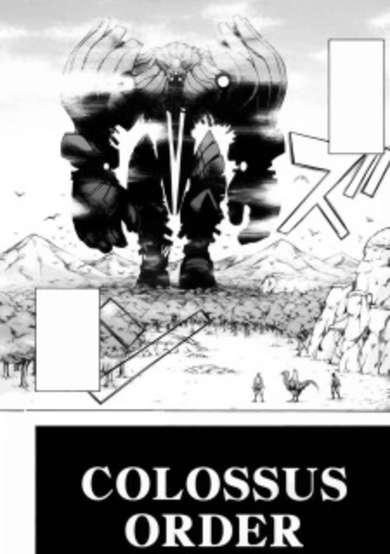 Copertina di Colossus Order