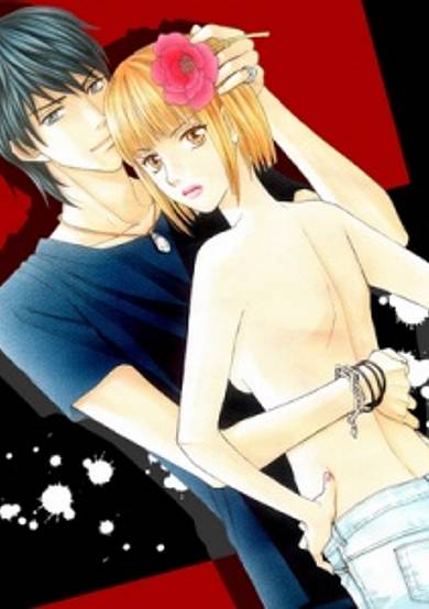 Copertina di Venus ni Arazu