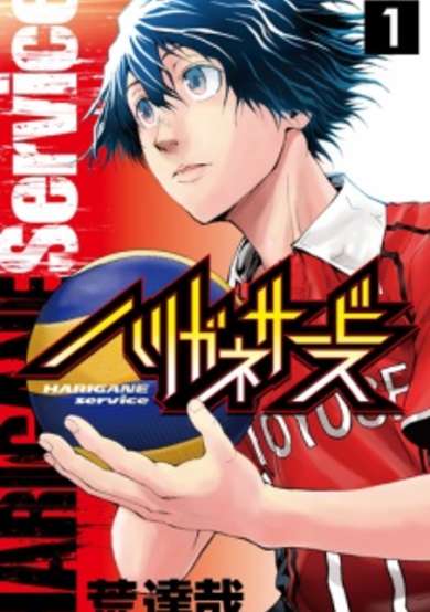 Copertina di Harigane Service