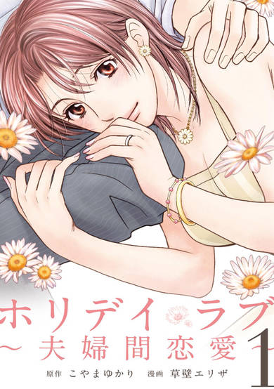 Copertina di Holiday Love