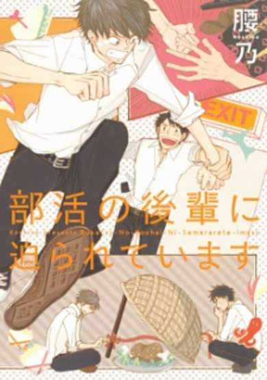 Copertina di Bukatsu no Kouhai ni Semarareteimasu