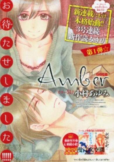 Copertina di Amber