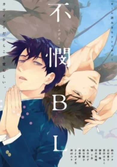 Copertina di Fubin BL