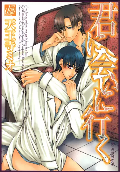 Copertina di Meeting You