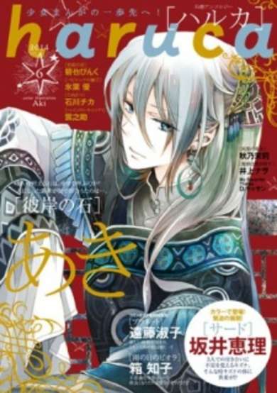 Copertina di Higan no Ishi
