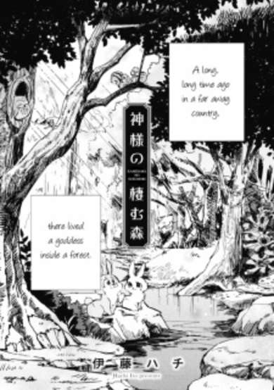 Copertina di Kamisama no Sumu Mori