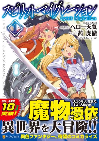 Copertina di Spirit Migration