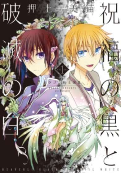 Copertina di Dragon Knights: Heavenly Black and Evil White