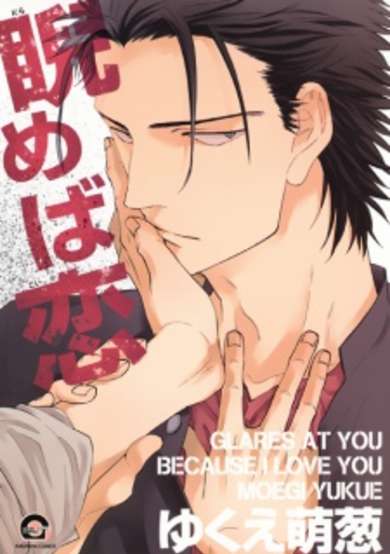 Copertina di Glares at You Because I Love You