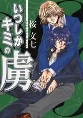 Copertina di Itsushika Kimi no Toriko