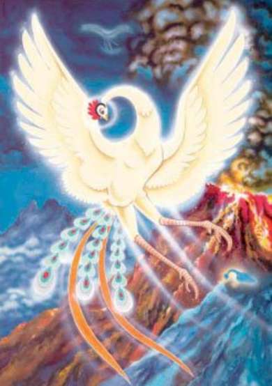 Copertina di Phoenix