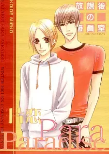 Copertina di Katakoi Paradise dj - Katakoi Para Paradise