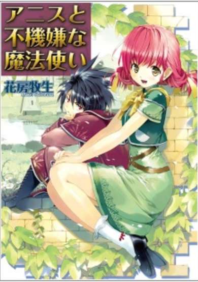 Copertina di Anise to Fukigen na Mahoutsukai
