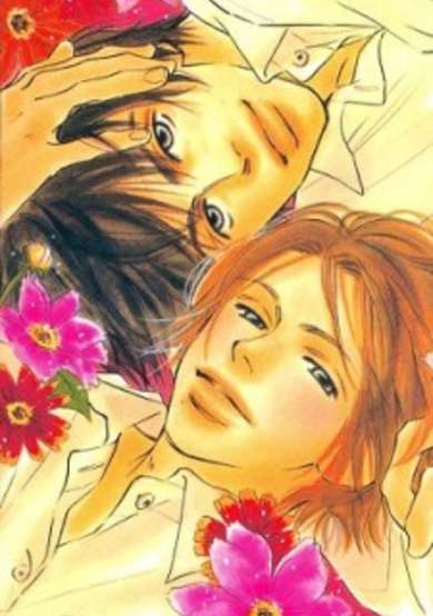 Copertina di Kawaii Hito