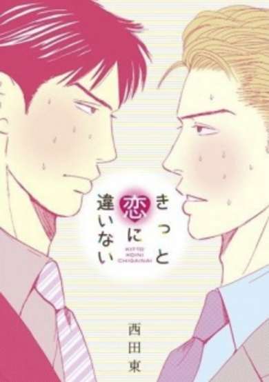 Copertina di Kitto Koi ni Chigainai