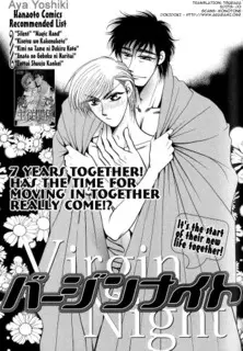 Copertina di Virgin Night
