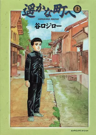 Copertina di A Distant Neighborhood
