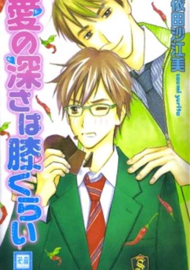 Copertina di Ai no Fukasa wa Hizakurai