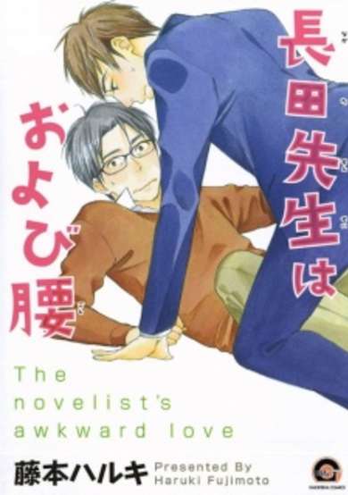 Copertina di The novelist's awkward love