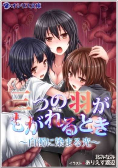 Copertina di Mitsu no Hane ga Mogareru Toki: Hakudaku ni Somaru Hikari