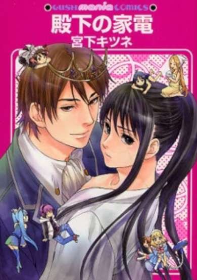 Copertina di Denka no Kaden