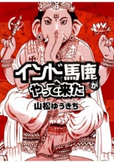 Copertina di Stupid Guy Goes to India