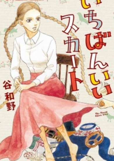 Copertina di The Finest Skirt Ever