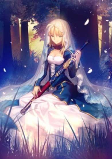 Copertina di Fate/stay night: Garden of Avalon