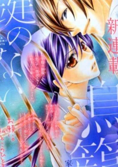 Copertina di Kagi no Nai Torikago