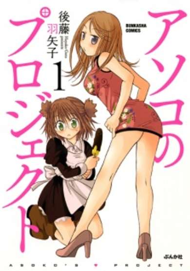 Copertina di Asoko no Project
