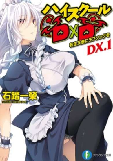 Copertina di High School DxD DX